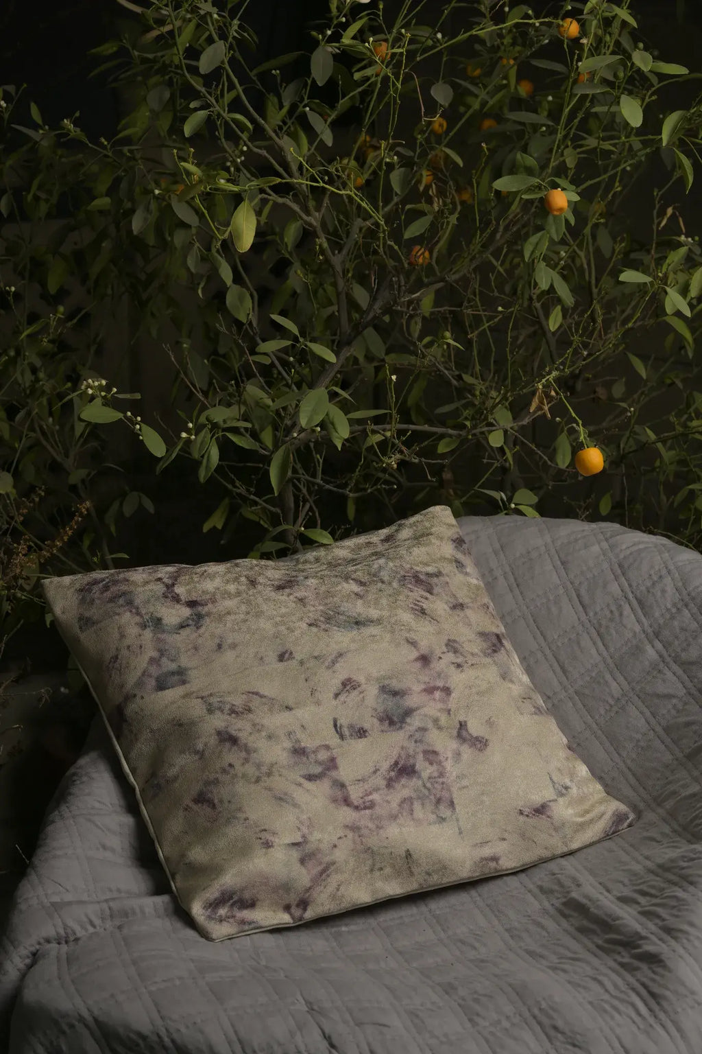Printed Cushion