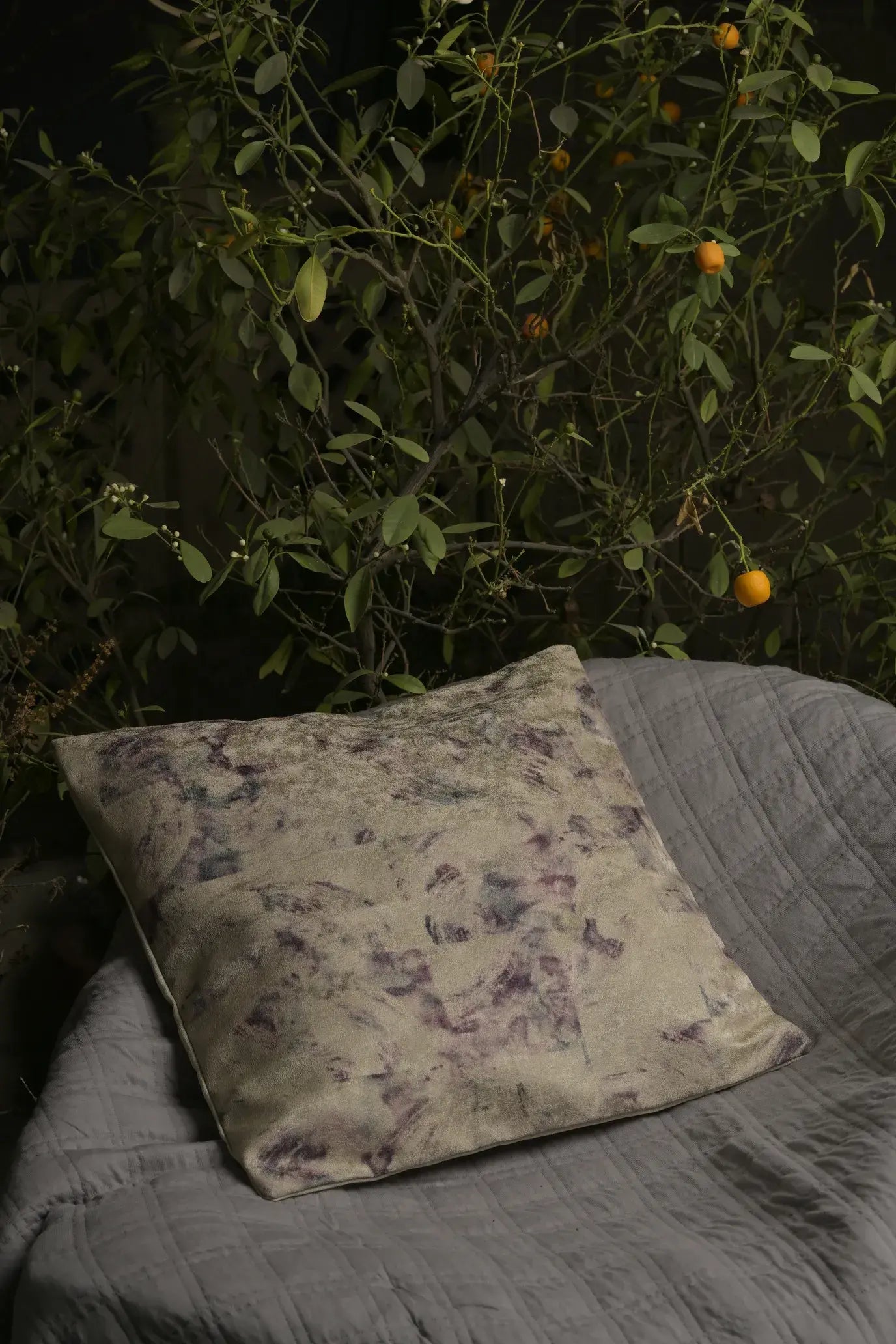 Printed Cushion
